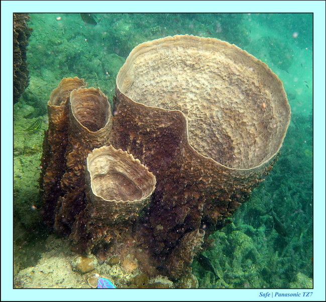 2012 - 03 - Koh Kradan 07